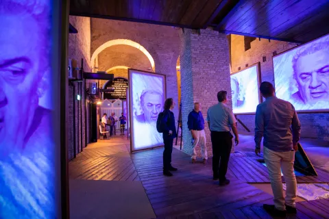 fellini museum