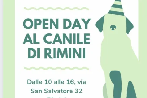 canile open day
