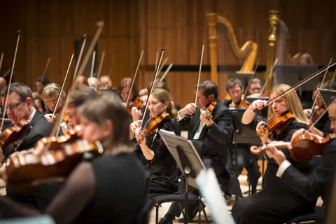 royal philhar orchestra