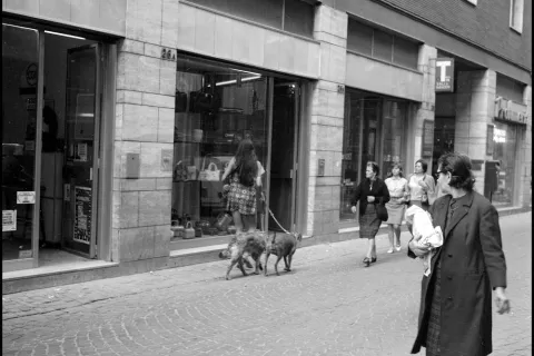 botteghe storiche tabacchi gambalunga