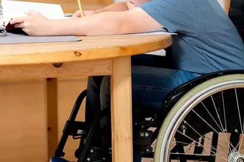 disabilità