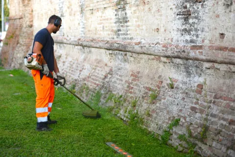 Manutenzione e cura delle aree verdi