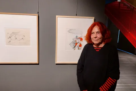 anteprima stampa mostra fellini fulgor