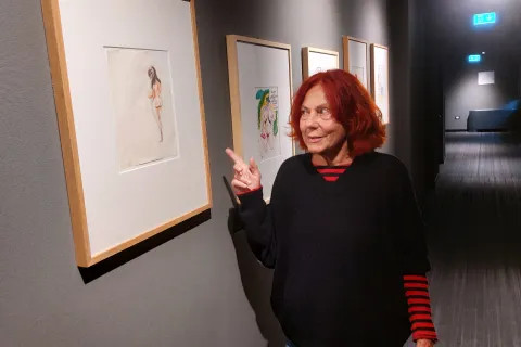 anteprima stampa mostra fellini fulgor