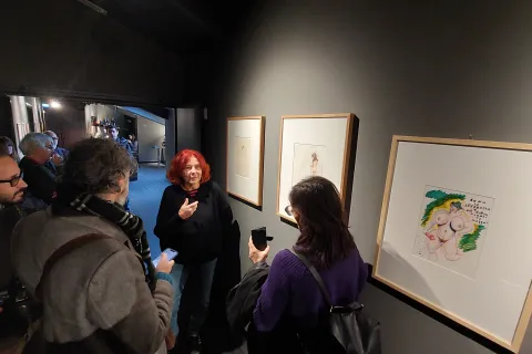 anteprima stampa mostra fellini fulgor