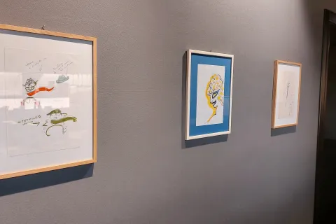 anteprima stampa mostra fellini fulgor