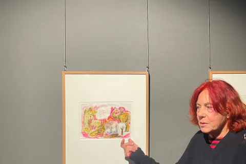 anteprima stampa mostra fellini fulgor