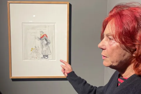 anteprima stampa mostra fellini fulgor