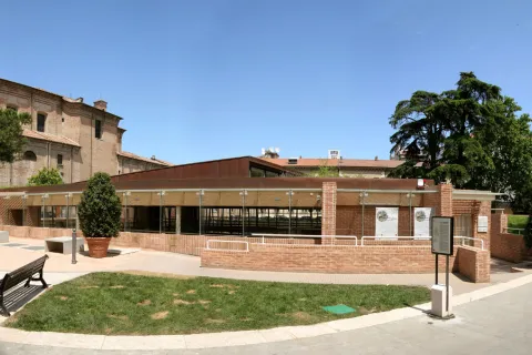 Domus del Chirurgo