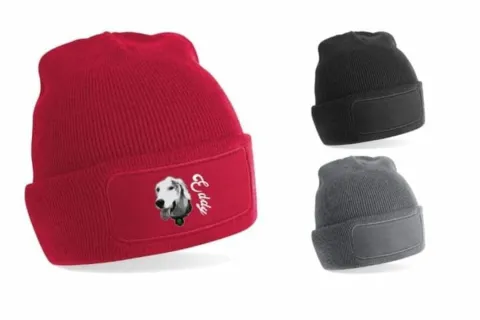 Open day Canile comunale Stefano Cerni