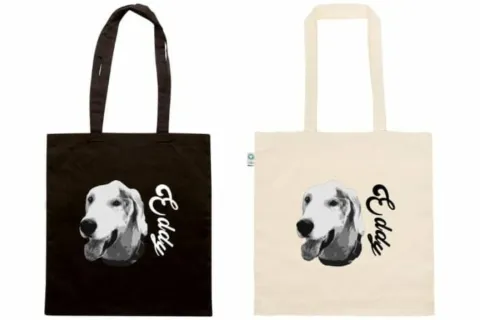 Open day Canile comunale Stefano Cerni