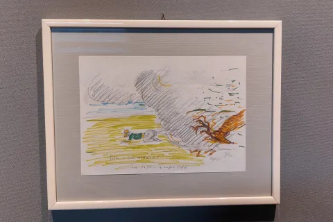 mostra fellini intimo al fulgor