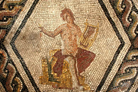 Domus del Chirurgo - mosaici