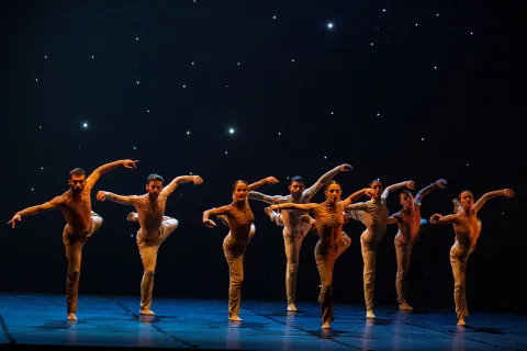 MM Contemporary Dance Company