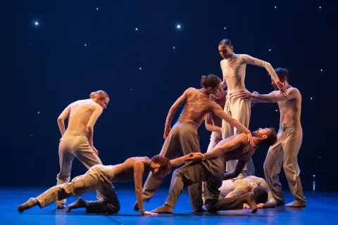 MM Contemporary Dance Company