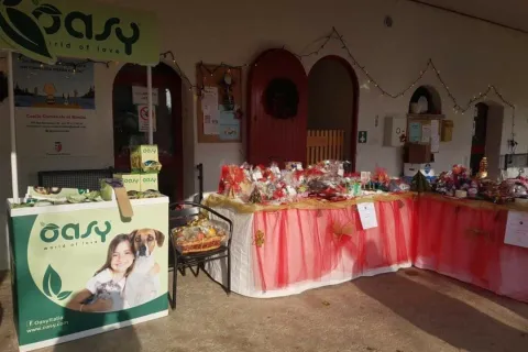 Open day Canile comunale Stefano Cerni