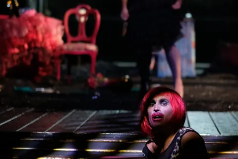 le cinque rose di jennifer