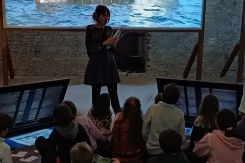 circo fellini museum laboratori