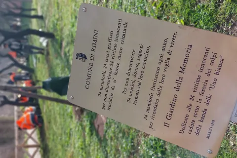 civivo zavatta