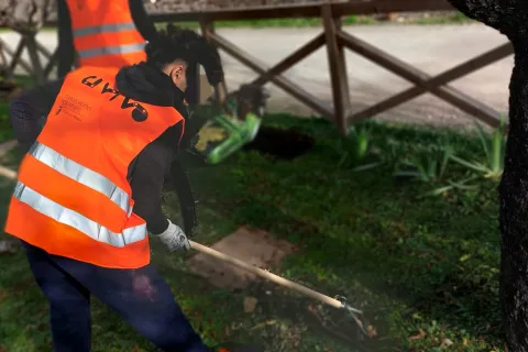 civivo zavatta