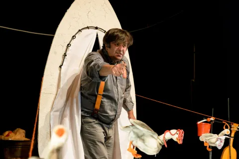 i brutti anatroccoli