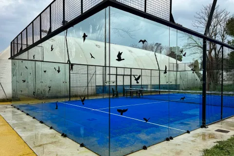 barriere anticollisione volatili