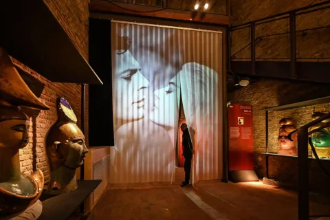fellini museum