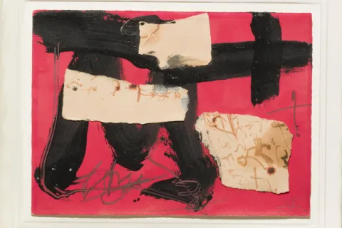 biennale del disegno 2024