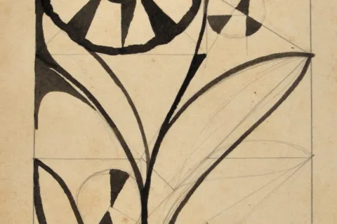 4^ Biennale Disegno Rimini - Mostra  THAYAHT  Il futuro presente