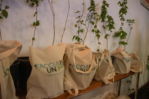 Piano del verde
