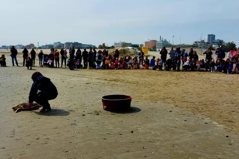 Giornata del mare e della cultura marinara 2024