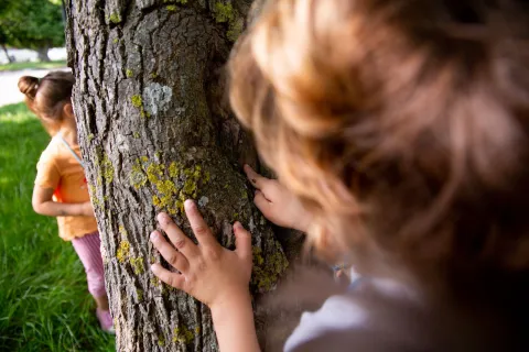 bambini che si nascondono dietro un albero