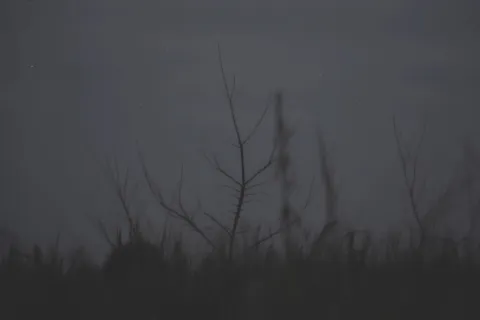 Mercoledì 17 aprile inaugura Supernova - 17 - 21 aprile 2024