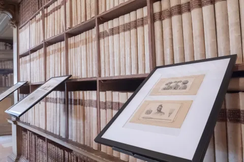 Biennale del Disegno