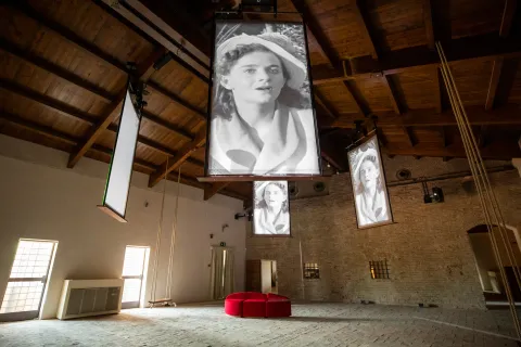 Museo Fellini