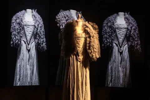 Museo Fellini