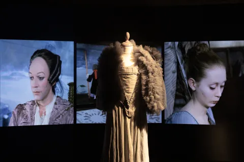 Museo Fellini