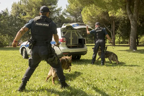 unità cinofile della Polizia Locale