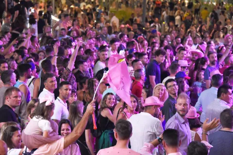 notte rosa