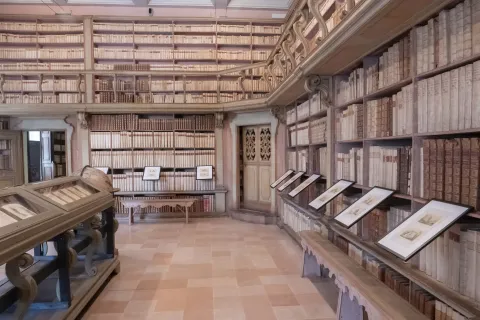 Biennale del Disegno Rimini 2024