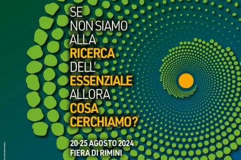 Locandina Meeting 2024