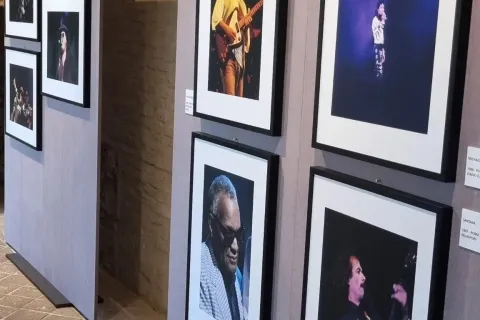 Mostra Superstars