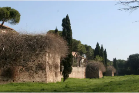 parco cervi
