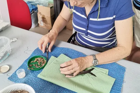 4 ottobre, giornata mondiale degli animal