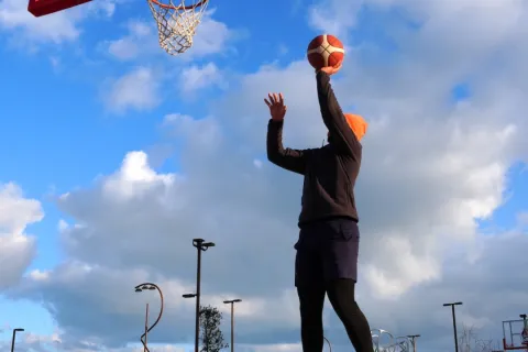 basket parco del mare