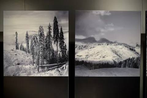 mostra “Segni e suoni di Vaia”