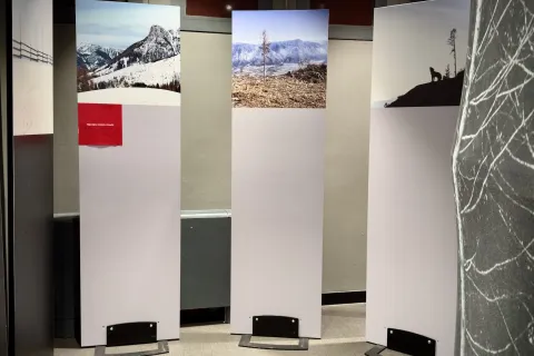 mostra “Segni e suoni di Vaia”