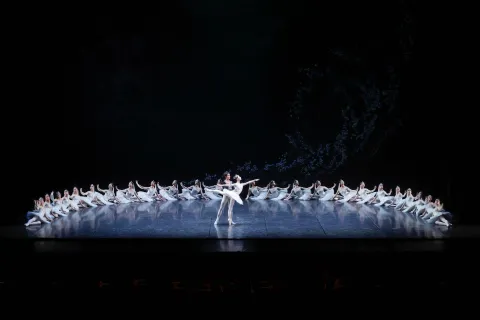 bayadere