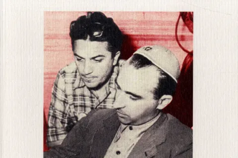 libro dolcini luci del varietà