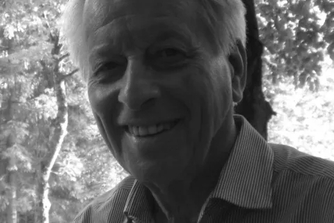 piero meldini